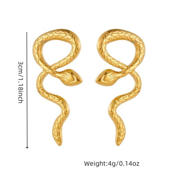 316L Stainless Steel Irregular Pearl Earrings Round Square Fan Shapes Trendy Women's Statement Ear Jewelry Gift - Image 4